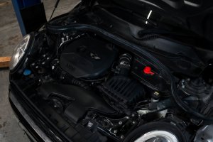 MINI Hardtop (3-door) Intake Hardpipe by Forge - F56 - 1.5/2.0 Turbo