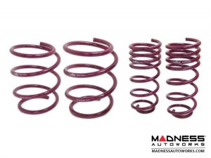 MINI Cooper Performance Lowering Springs _ Vogtland