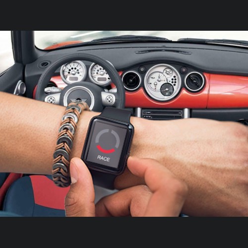 Mini Cooper Throttle Controller - InterStar - PowerPedal - R52