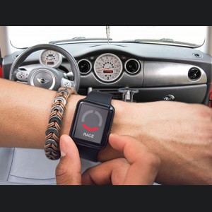 Mini Cooper Throttle Controller - InterStar - PowerPedal - R53