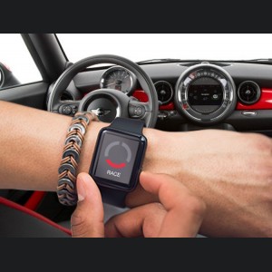 Mini Cooper Throttle Controller - InterStar - PowerPedal - R58