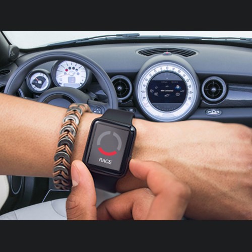 Mini Cooper Roadster Throttle Controller - InterStar - PowerPedal - R59