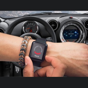 Mini Cooper Paceman Throttle Controller - InterStar - PowerPedal - R61