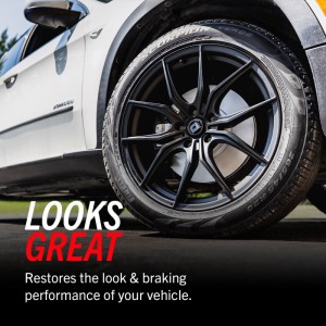 Mini Cooper Countryman Brake Rotor(1) - Rear - PowerStop - Evolution High Carbon Geomet Coated - Silver - `11-`16