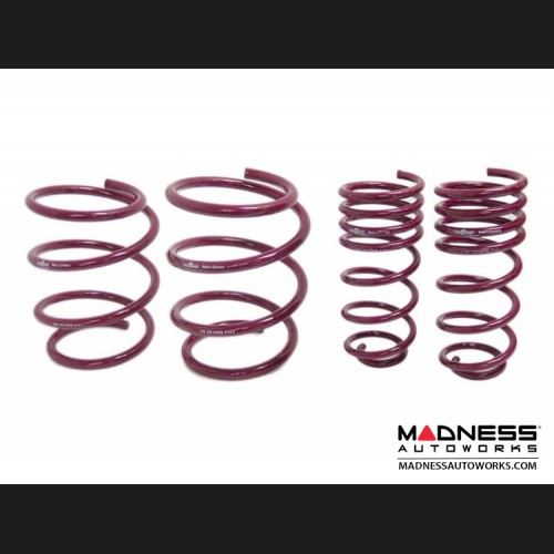 MINI Cooper Performance Lowering Springs _ Vogtland