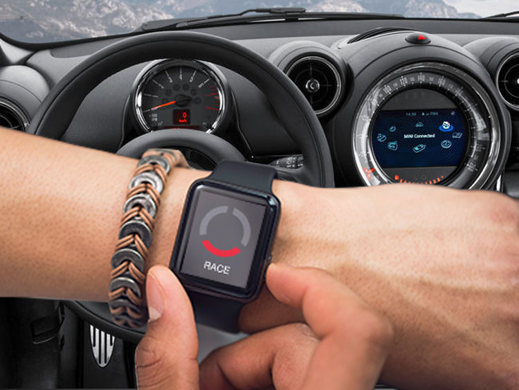 Mini Cooper Paceman Throttle Controller - InterStar - PowerPedal - R61